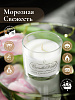 Свеча ароматическая CandleKraft Peppermint Freeze Aroma Mini &quot;Перечная Мята&quot;