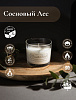 Свеча ароматическая CandleKraft Pine Grove Aroma Mini &quot;Сосновый Лес&quot;